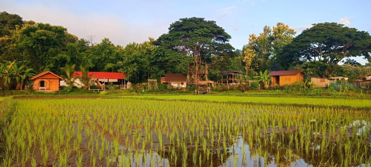 Kaewma Farmstay Khuang Kom Exterior foto