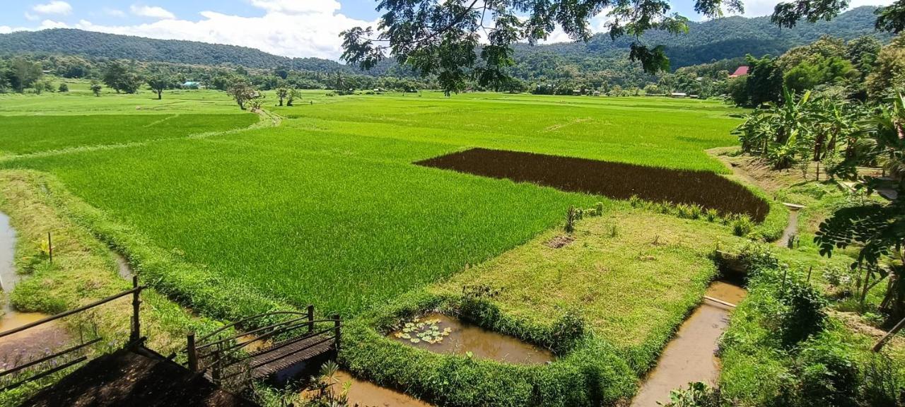 Kaewma Farmstay Khuang Kom Exterior foto