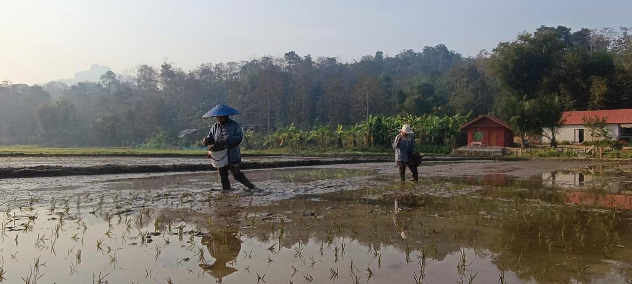 Kaewma Farmstay Khuang Kom Exterior foto