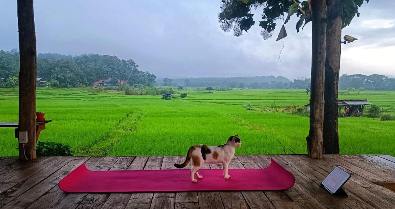 Kaewma Farmstay Khuang Kom Exterior foto