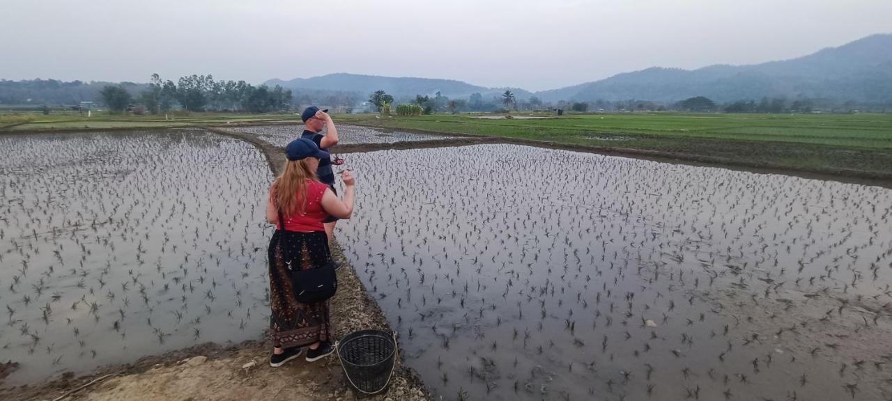 Kaewma Farmstay Khuang Kom Exterior foto
