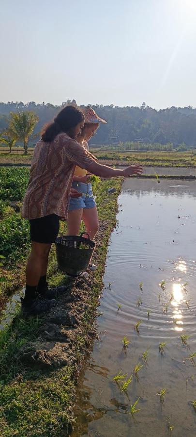 Kaewma Farmstay Khuang Kom Exterior foto