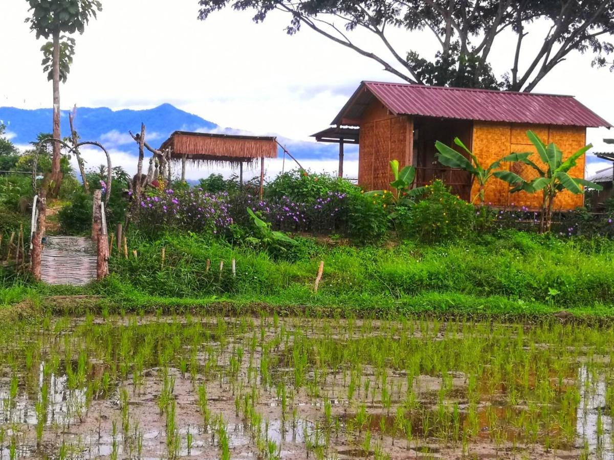 Kaewma Farmstay Khuang Kom Exterior foto